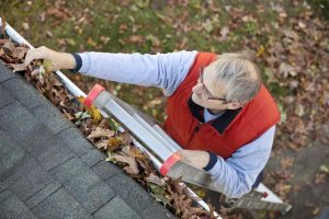 Would You Like to Stop Cleaning Your Gutters