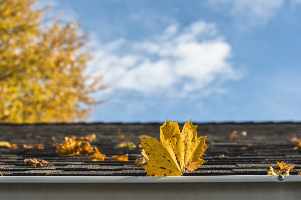 Our Top 5 Fall Roof Maintenance Guidelines 