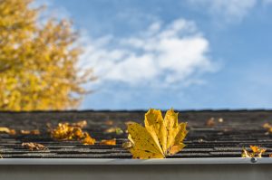 Our Top 5 Fall Roof Maintenance Guidelines