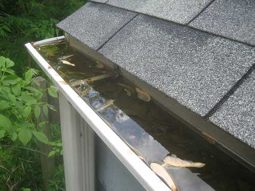 Cleaning and maintaining your gutters can save your home's foundation