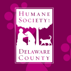 Muth Roofing raises funds for Humane Society of Delaware County