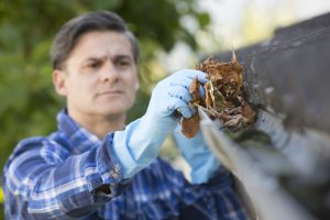 Fall Gutter Maintenance and Why It Matters