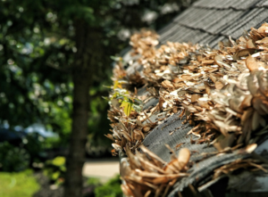 gutter cleaning