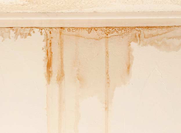 What to Do if You Spot Moisture Stains on Your Ceiling