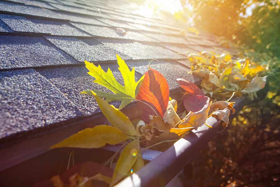 Protect Your Gutters Now with This Action Plan