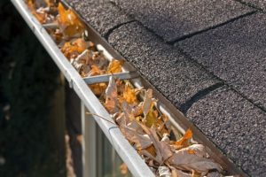 gutter maintenance