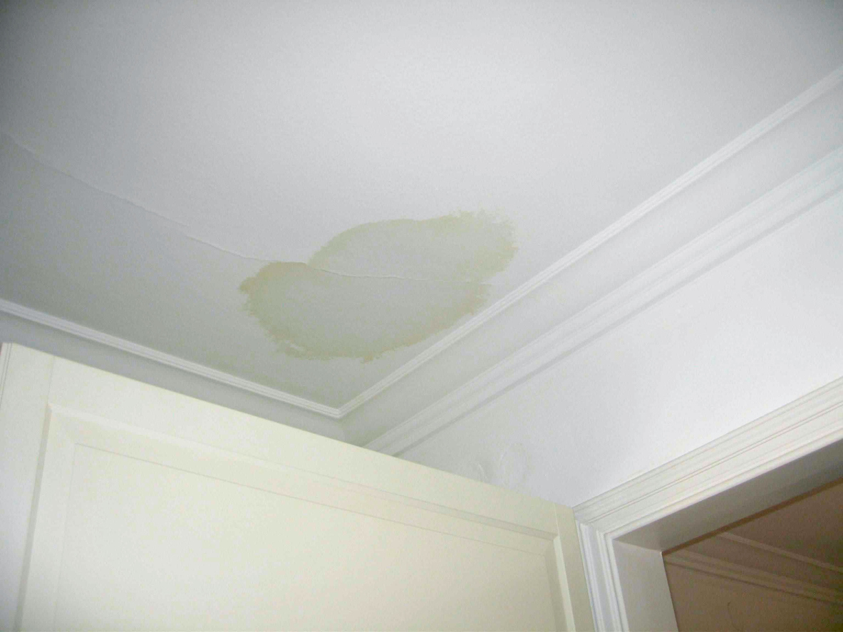 Don T Ignore Water Stains On The Ceiling