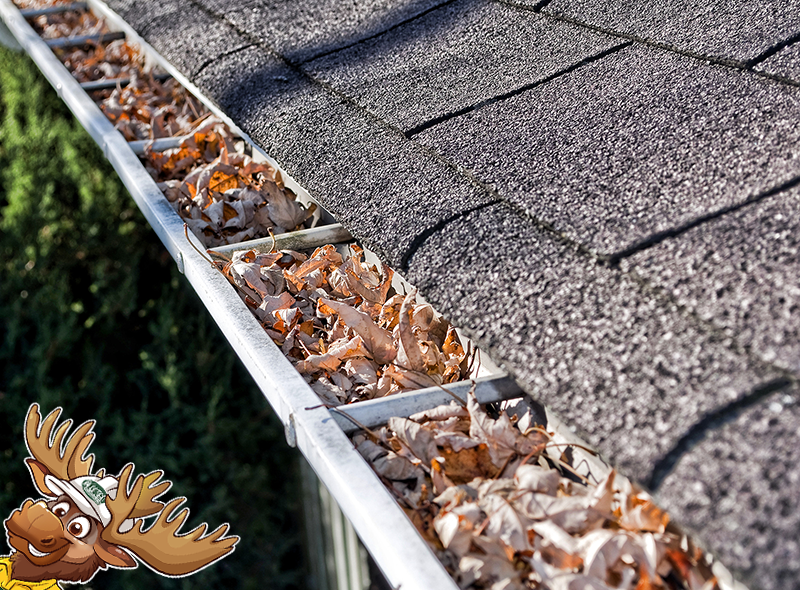 Gutter Maintenance Delaware