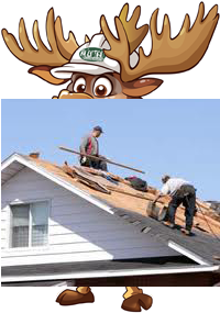 Roof Repair Muth Moose