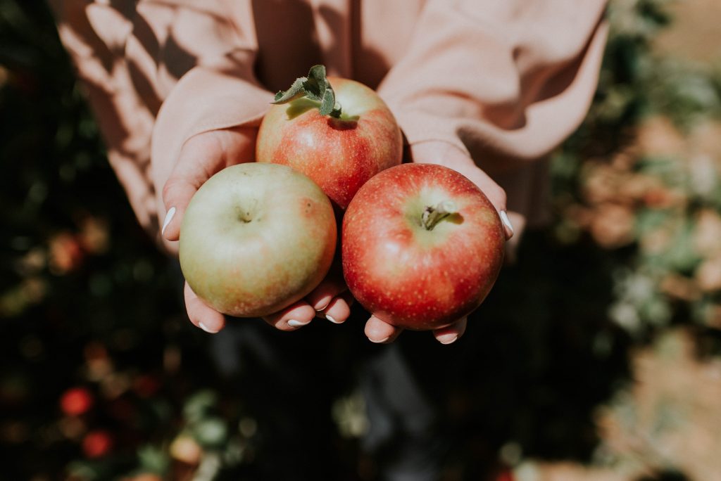 Apple Season is Here