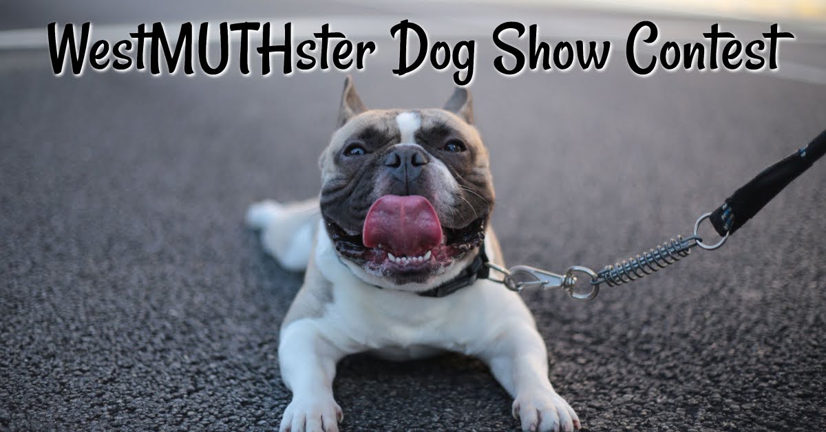 2021 WestMUTHster Dog Show Contest