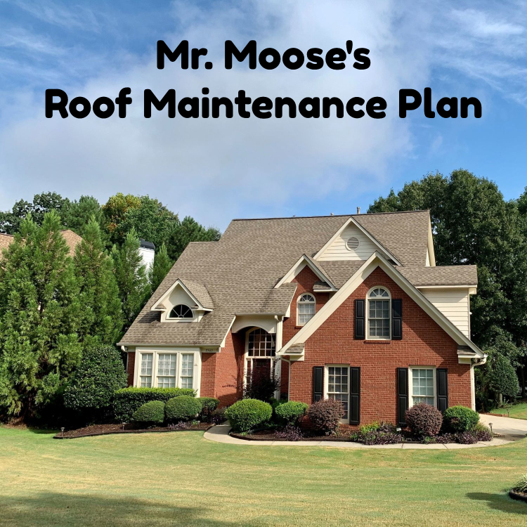 mr. moose's roof maintenance plan