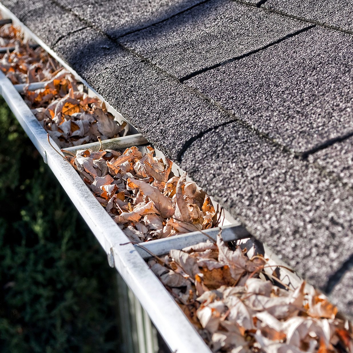 Clogged Gutter Repairs