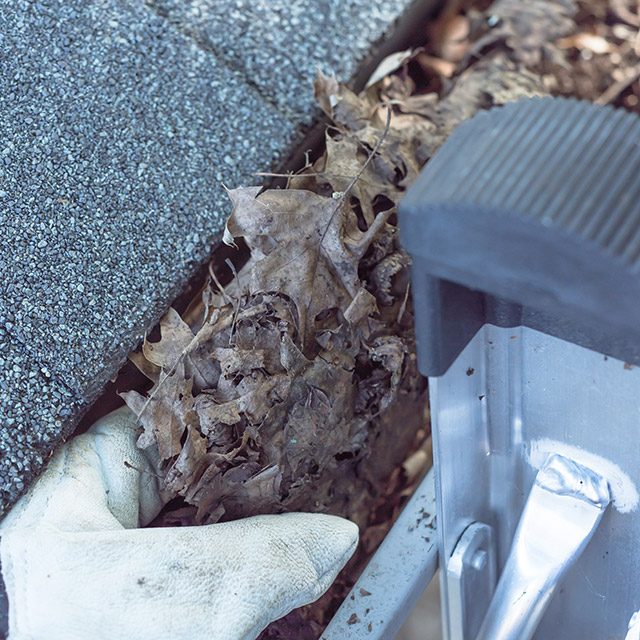 Clean Gutters Regularly